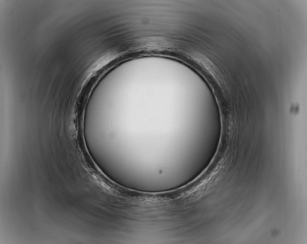 X0000098121018200804181514