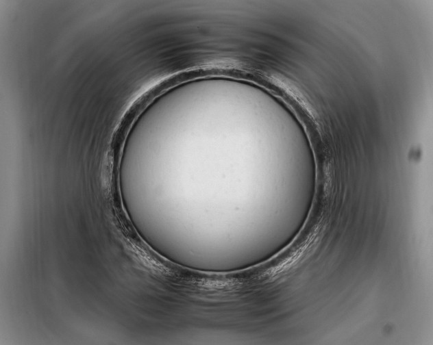 X0000098121021200804181515