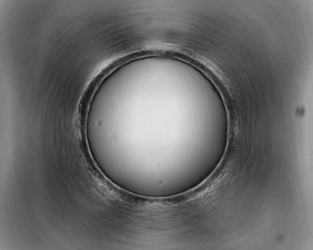 X0000098121022200804181515