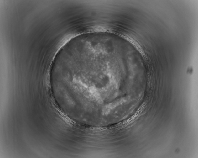 X0000098121023200804181515