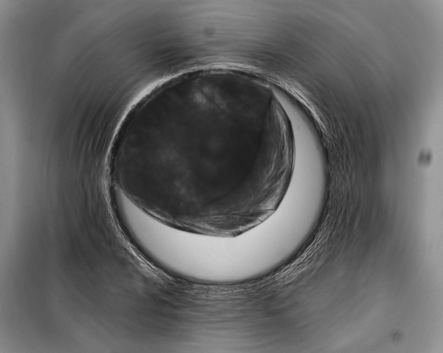 X0000098121024200804181515