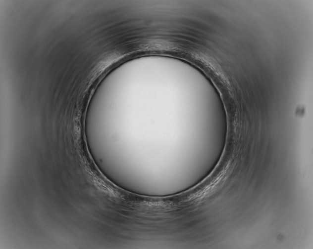 X0000098121025200804181515