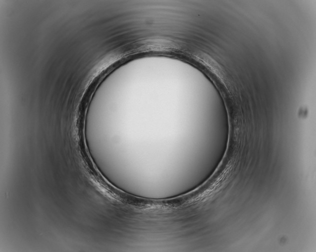 X0000098121026200804181515