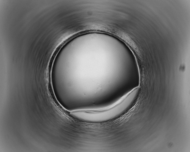 X0000098121028200804181515