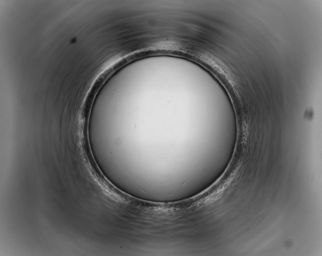 X0000098121029200804181515