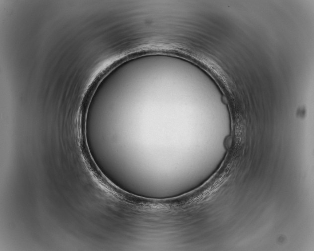 X0000098121030200804181515