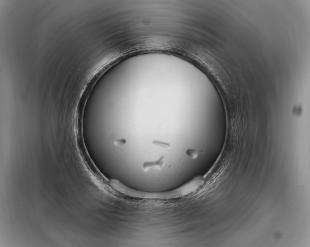 X0000098121034200804181515