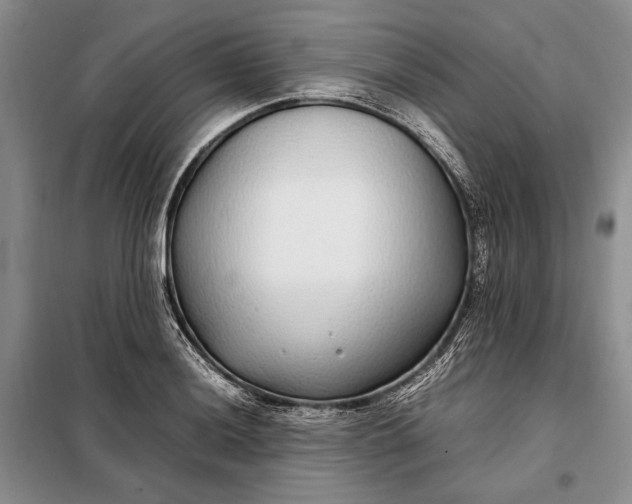 X0000098121036200804181515