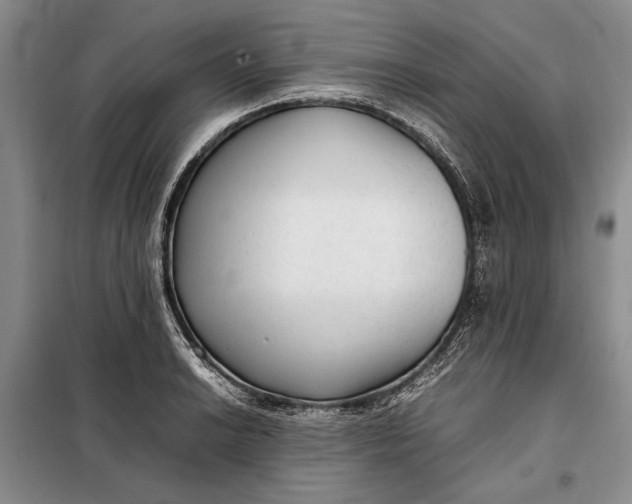 X0000098121038200804181515