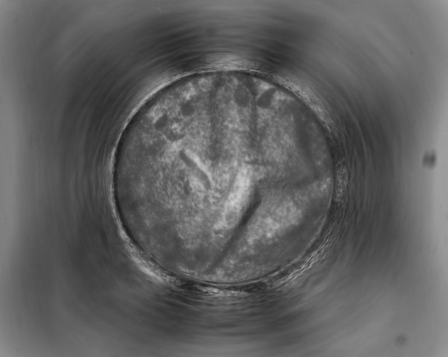 X0000098121039200804181515