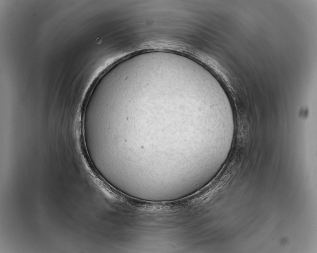 X0000098121040200804181515