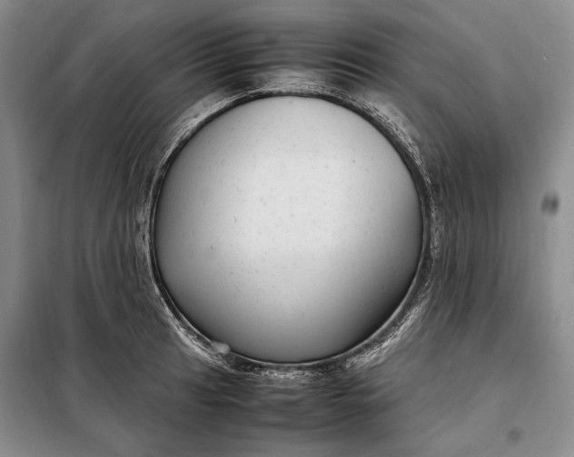 X0000098121041200804181515