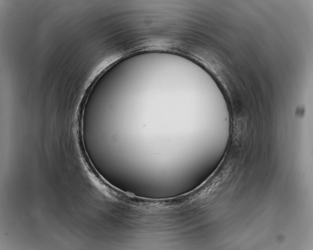X0000098121042200804181515