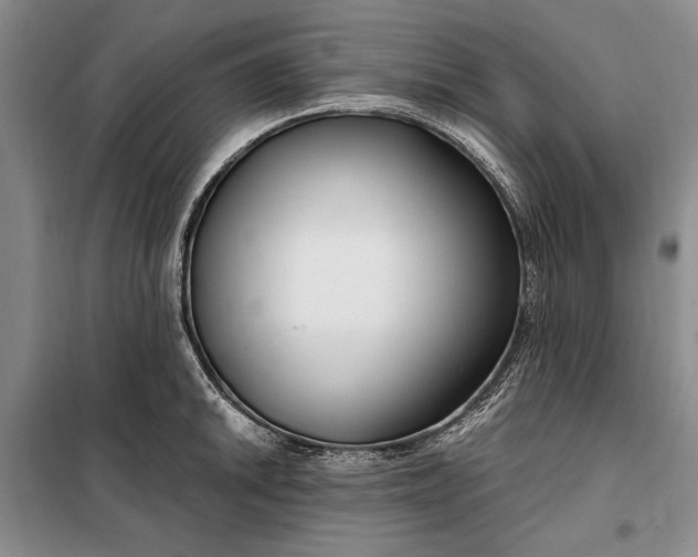 X0000098121046200804181515