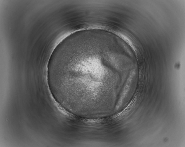 X0000098121047200804181515