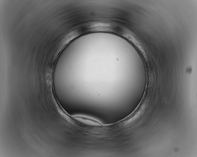 X0000098121049200804181515