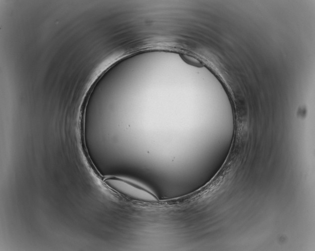 X0000098121050200804181515