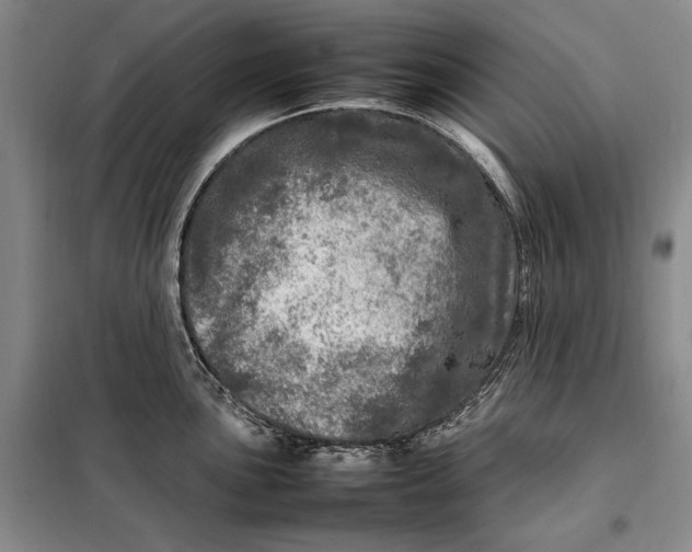 X0000098121051200804181515