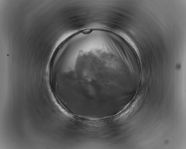 X0000098121053200804181515