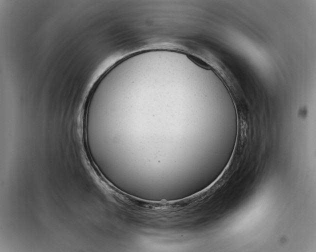 X0000098121054200804181515