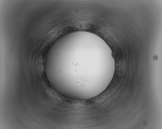 X0000098121058200804181514
