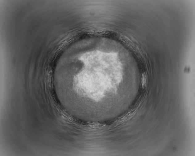X0000098121059200804181514