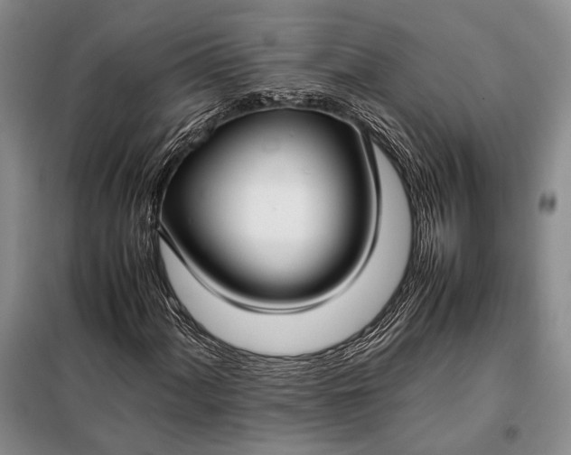 X0000098121060200804181514
