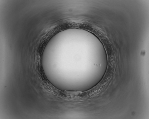 X0000098121061200804181514