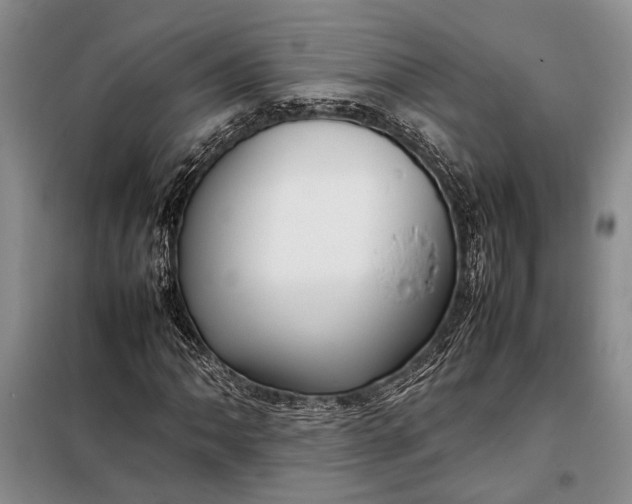 X0000098121062200804181514