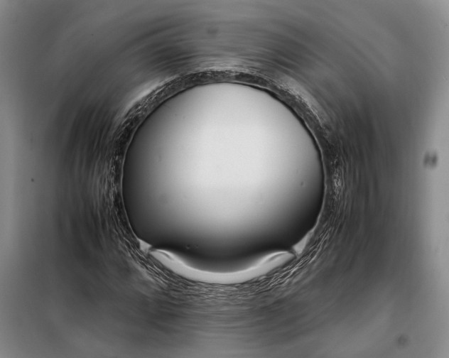 X0000098121064200804181514