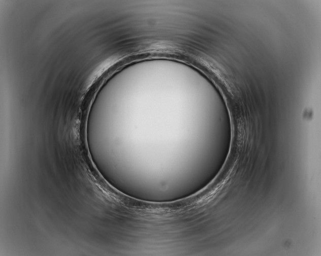 X0000098121066200804181514