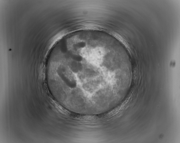 X0000098121067200804181514