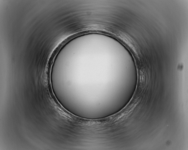 X0000098121068200804181514