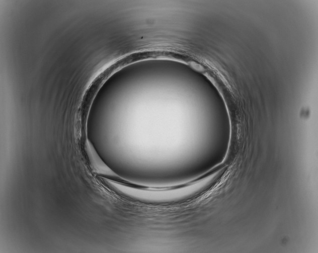 X0000098121069200804181514