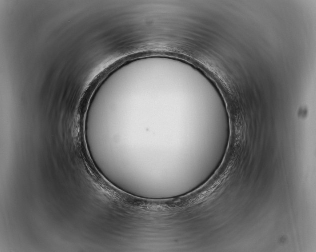 X0000098121070200804181514