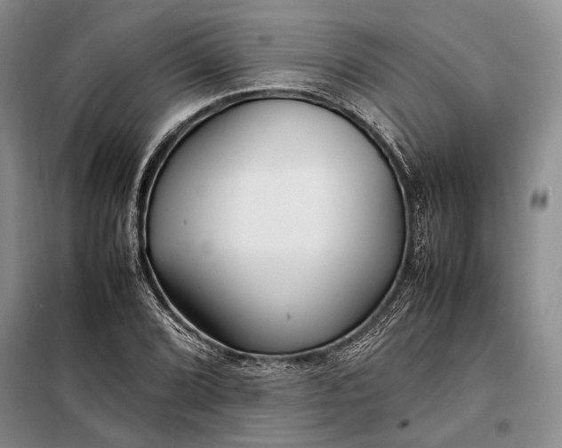 X0000098121072200804181514