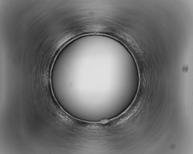 X0000098121073200804181514