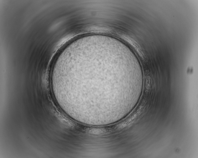 X0000098121074200804181514