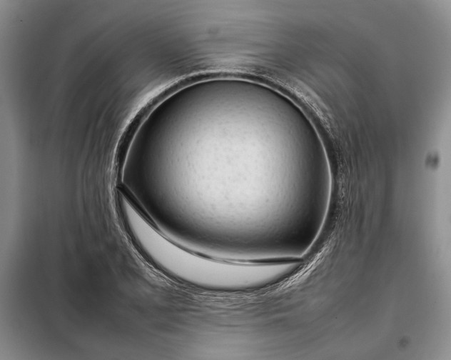 X0000098121077200804181514