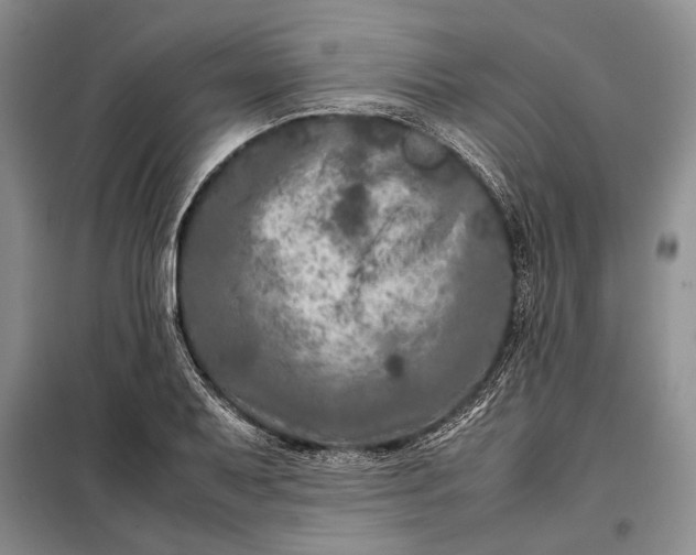 X0000098121079200804181514