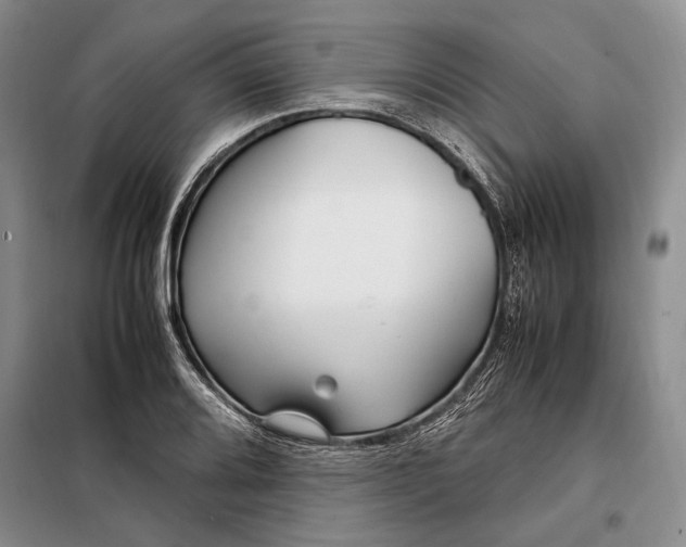 X0000098121080200804181514