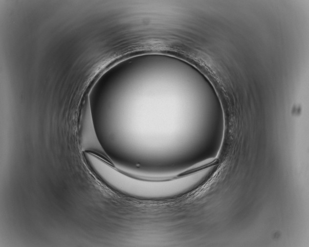 X0000098121081200804181514