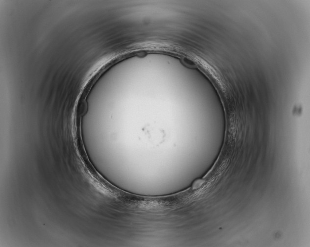 X0000098121082200804181514