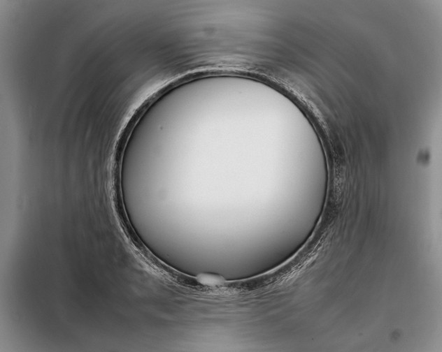 X0000098121085200804181514