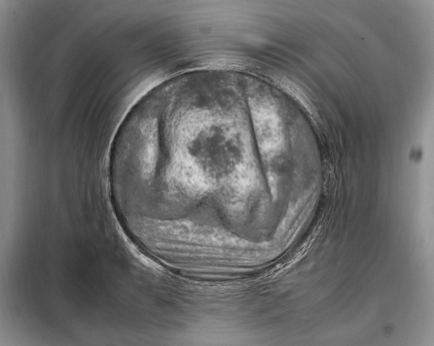 X0000098121087200804181514
