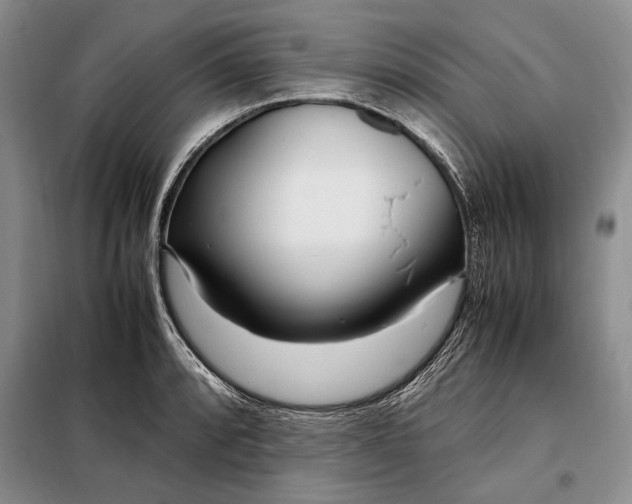 X0000098121088200804181514