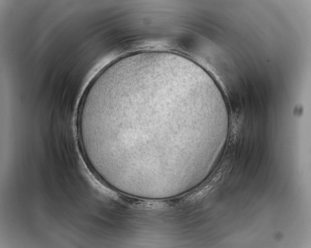 X0000098121090200804181514