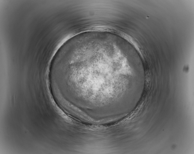 X0000098121091200804181514