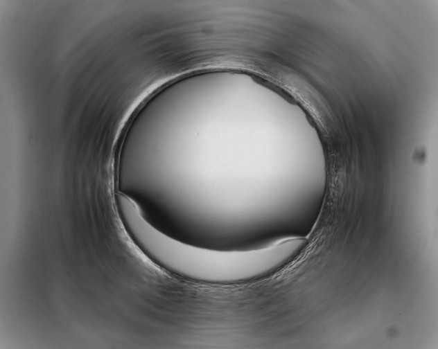 X0000098121092200804181514