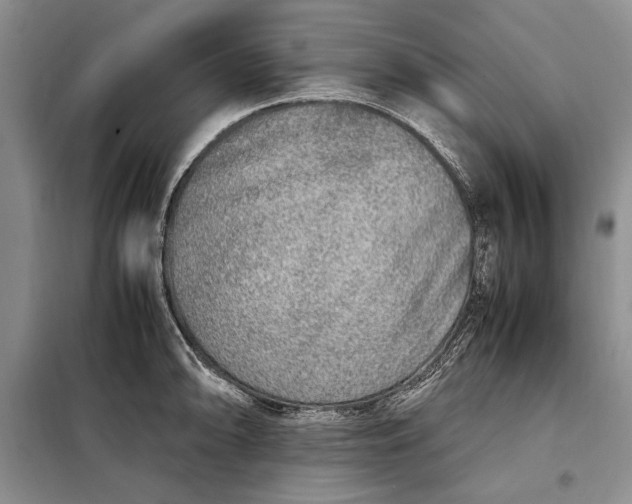 X0000098121094200804181513